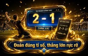 davidandmiranda Thể Thao